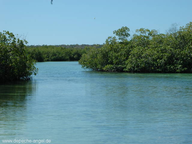 Saona (20).JPG